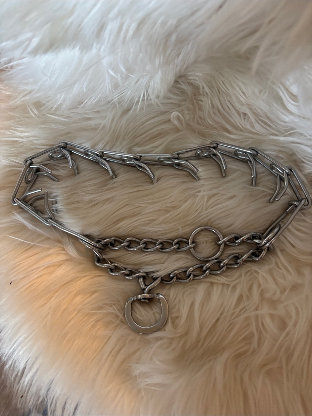 10” Diameter Pinch Training Collar